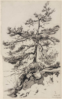 KT 1985 029
<br/>
Boom op een zandverstuiving op de Veluwe
<br/>
<em>Graaf, Frederik de (1871-1930)</em>